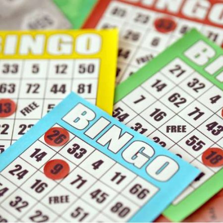 Introduction to Bingo: Rules and Basics